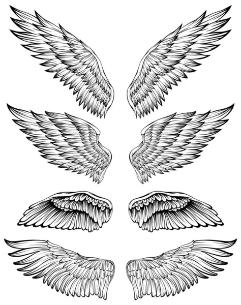 Bird Wings Vector Ilustração Tatuagem Estilo Elemento Design Desenhado Mão — Vetor de Stock