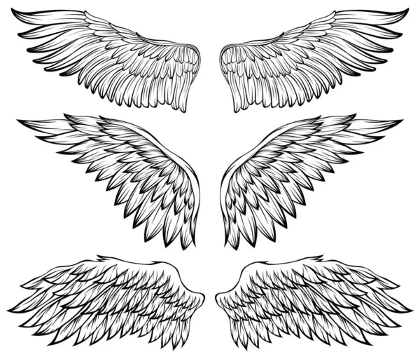 Alas Pájaro Vector Ilustración Tatuaje Estilo Elemento Diseño Dibujado Mano — Archivo Imágenes Vectoriales