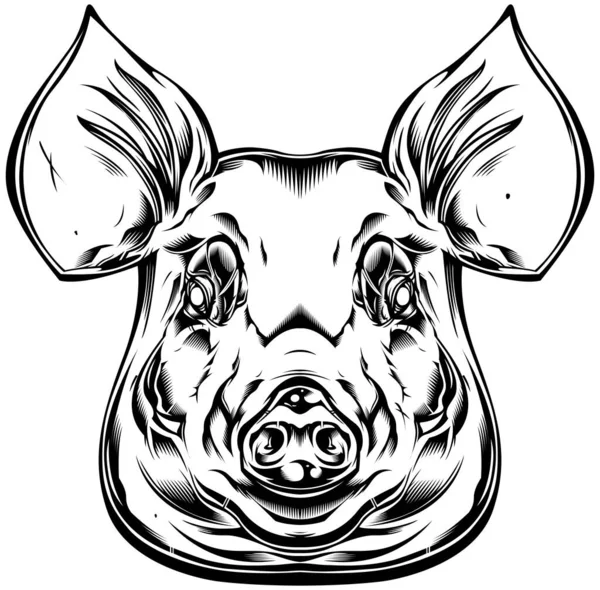 Mascotte Testa Maiale Logo Suino Arrabbiato Illustrazione Vettoriale Hog — Vettoriale Stock