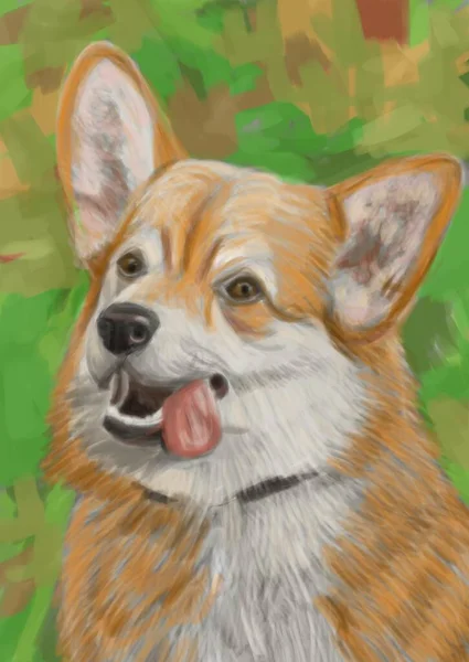 Digital Illustration Med Porträtt Hund — Stockfoto