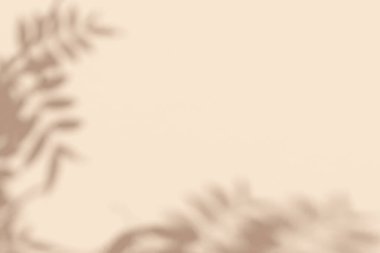 Parlak bej duvarında gölgeler olan yaratıcı bir telif alanı. Bej arkaplandaki yaprakların üst görünümü. Düz yatış stili. Ağaç yaprağıyla en düşük yaz konsepti