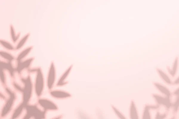 반짝이는 연분홍 그림자가 창조적 분홍색 배경에는 나뭇잎의 윗부분 그림자를 드리우고 — 스톡 사진