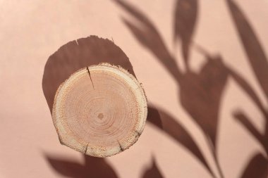 Çiçeklerin gölgeleriyle bej renkli bir zeminde uzanan ahşap kesim