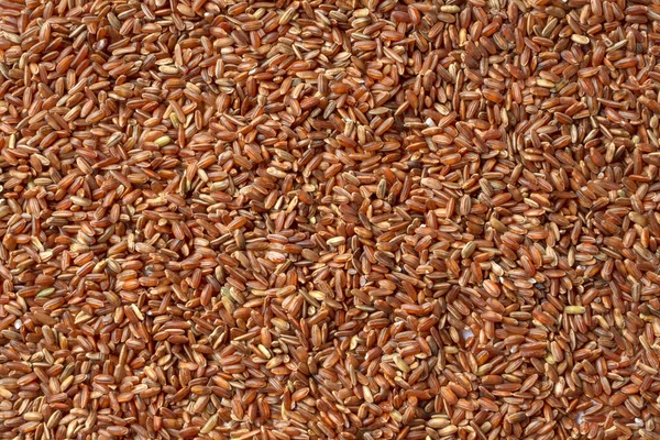 Bruine of rode rijst close-up textuur achtergrond — Stockfoto