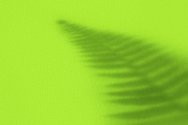 Parlak yeşil desenli duvarda eğreltiotu gölgeli yaratıcı kopya alanı