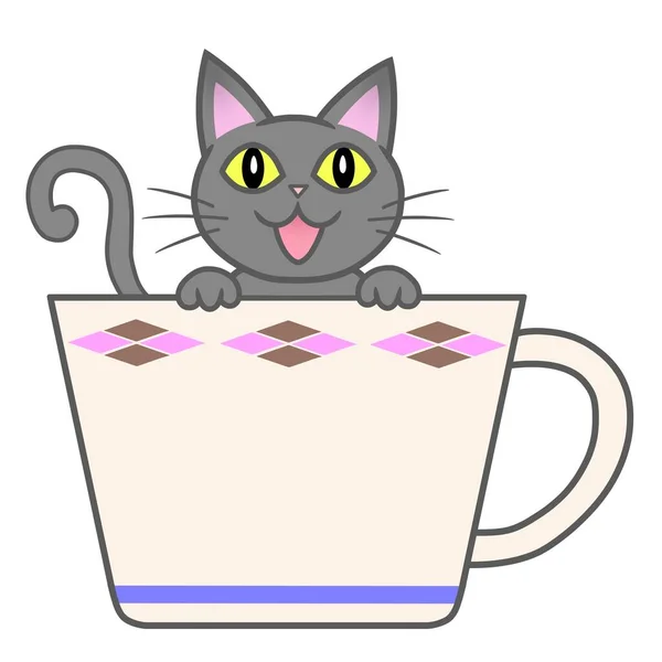 Bir fincandan çıkan gri bir kedi