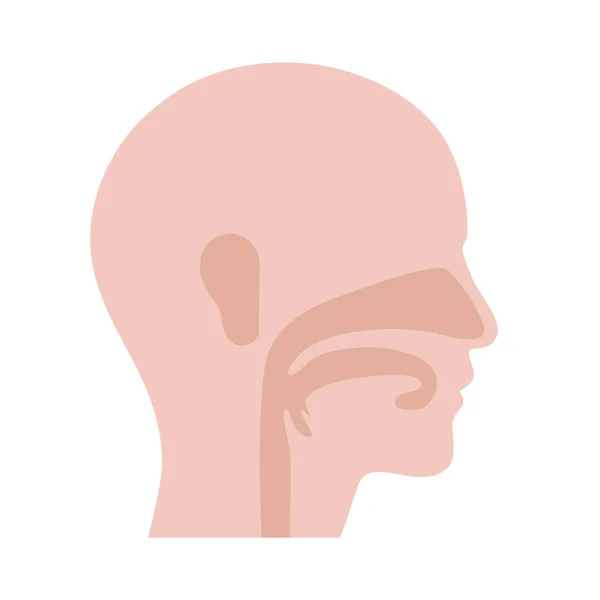 Concept de clinique d'otolaryngologie — Image vectorielle