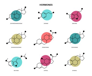 hormonlar moleküler formül