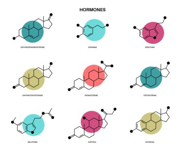 hormones molecular formula clipart