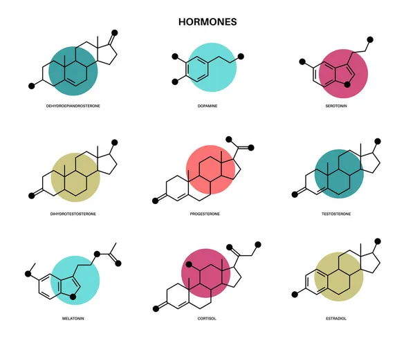 Moleculaire hormonenformule — Stockvector