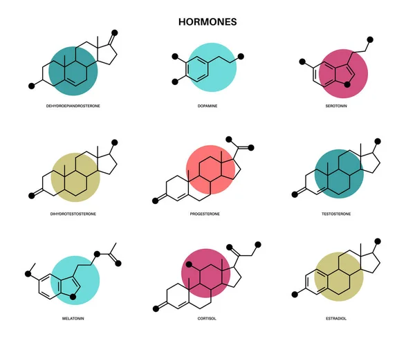 CBD a hormony