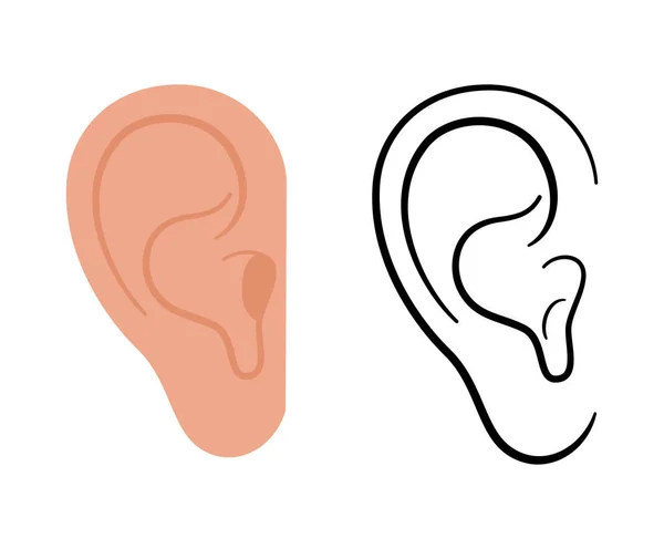 Анатомическая икона уха — стоковый вектор