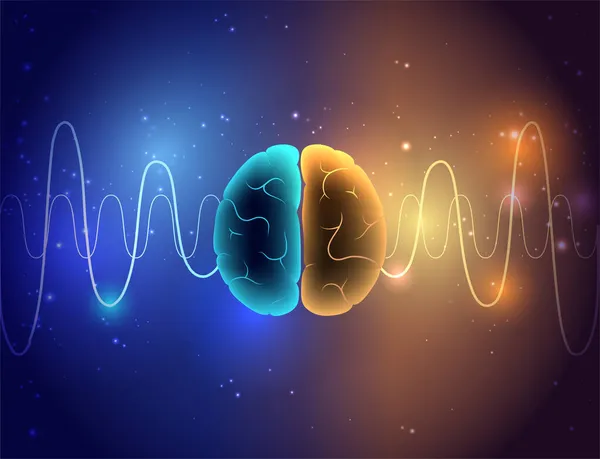 脳波3Dの概念 — ストックベクタ