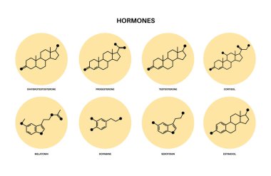 hormonlar moleküler formül