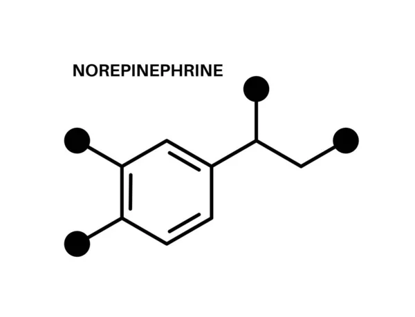 Pictogram Norepinefrine formule — Stockvector