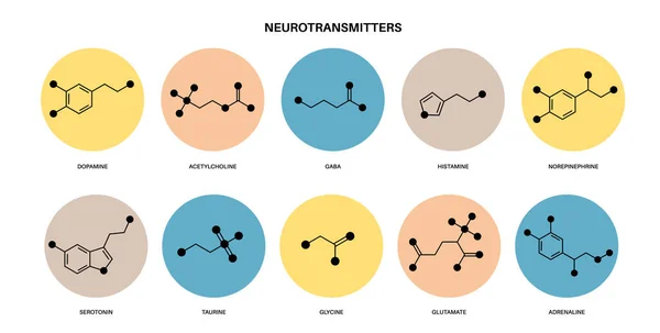 Fórmulas químicas de los neurotransmisores — Vector de stock