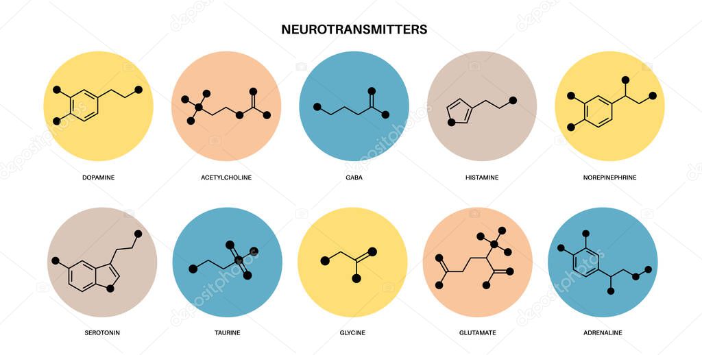 Chemical formulas of neurotransmitters