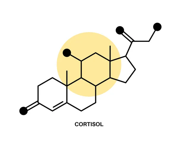 Kortizol Chimical formülü — Stok Vektör