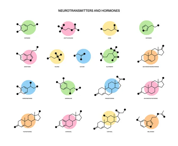 Hormonas y neurotransmisores — Vector de stock