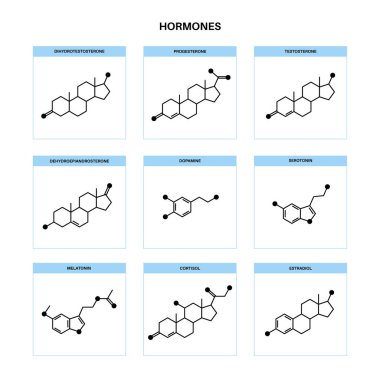 hormonlar moleküler formül