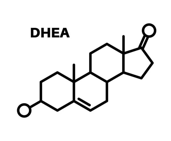 Dehydroepiandrosterone chemical formula — Stock Vector