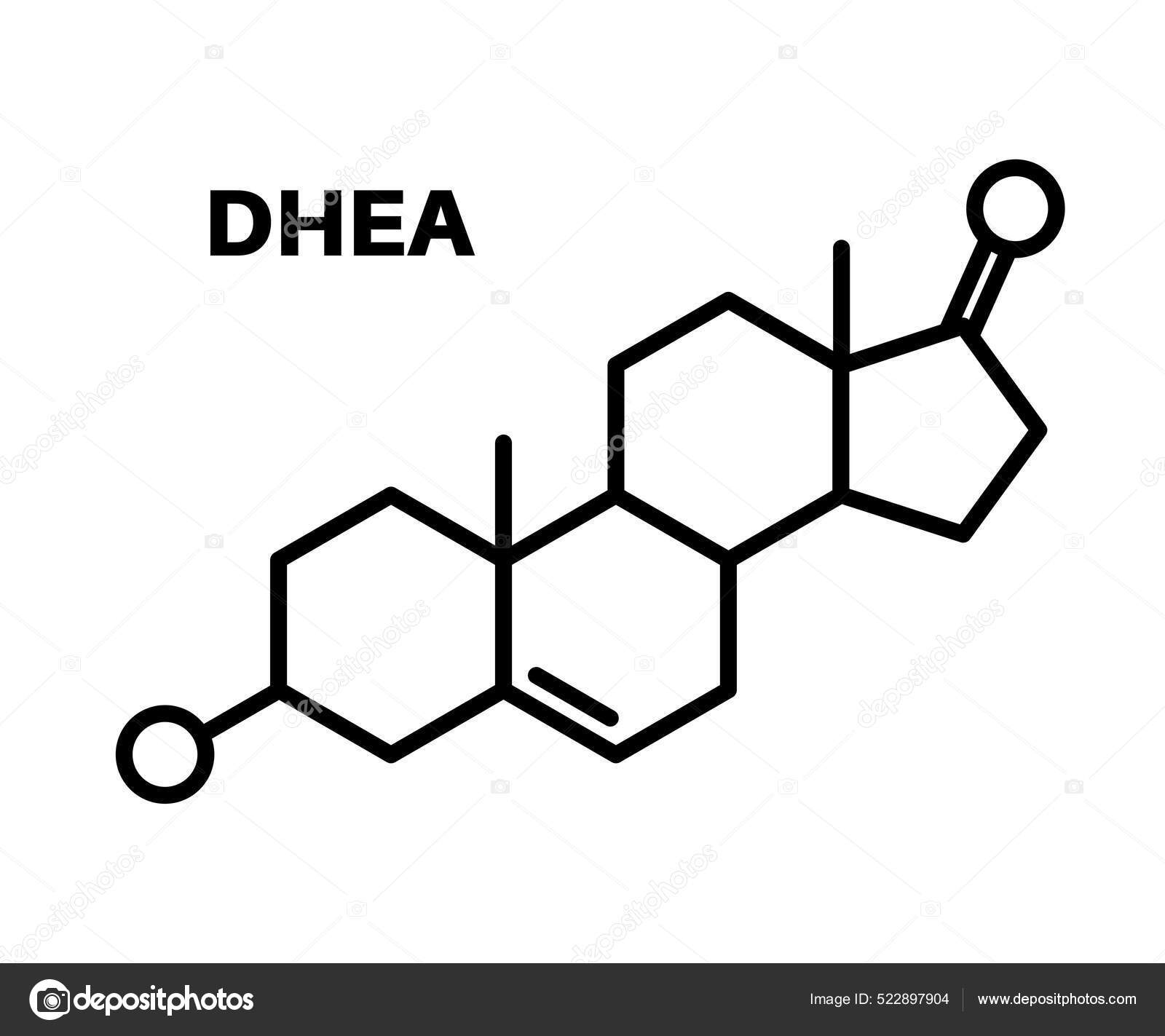 Dehydroepiandrosterone chemical formula Stock Vector Image by ©Pikovit