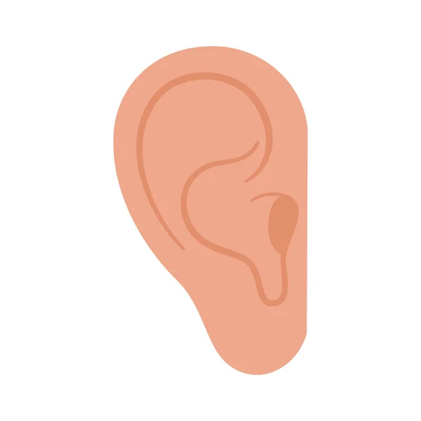 Вухо анатомічна ікона — стоковий вектор