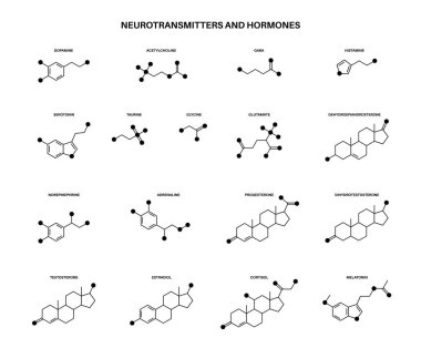 Hormonlar ve nörotransmitterler