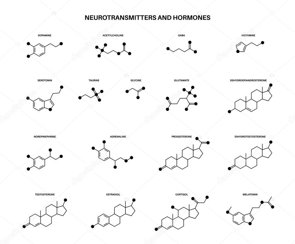 Set of chemical formulas of hormones and neurotransmitters in brain. Serotonin and dopamine icons. Physiological processes in the human body. Adrenaline and acetylcholine molecules vector illustration