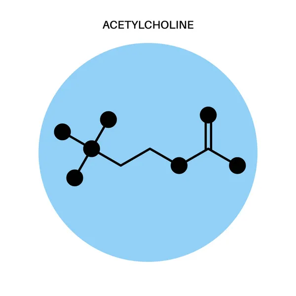 Acetylcholine formula icon — Stock Vector