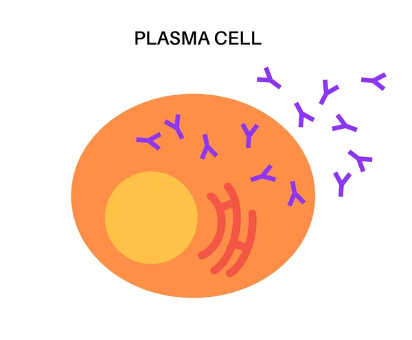 Symbol für Plasmazellen — Stockvektor