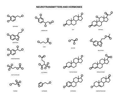 Hormonlar ve nörotransmitterler