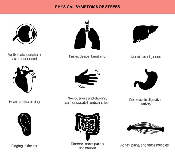 Stressresponssysteem — Stockvector