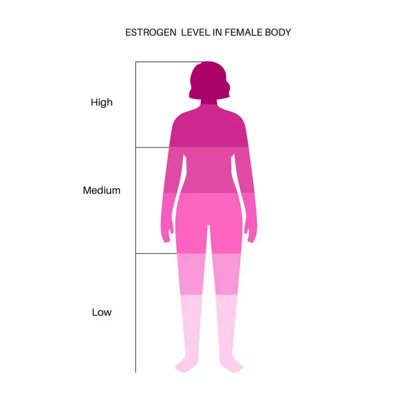 睾丸激素雌激素水平 — 图库矢量图片