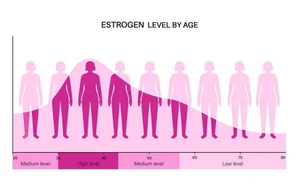 Nivel de estrógeno de testosterona — Vector de stock