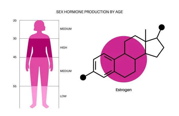 Niveau d'oestrogène de testostérone — Image vectorielle