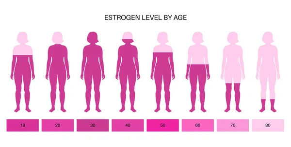 Poziom estrogenu testosteronu — Wektor stockowy