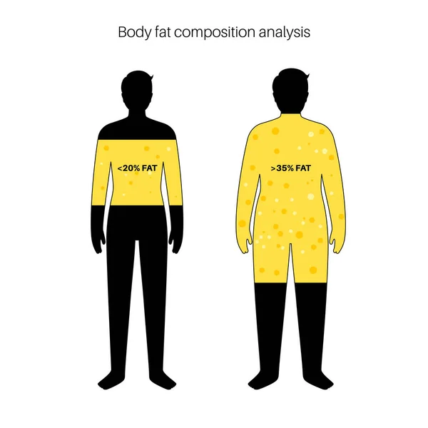 Composición de grasa corporal — Vector de stock