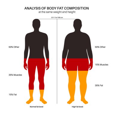 Body fat composition clipart