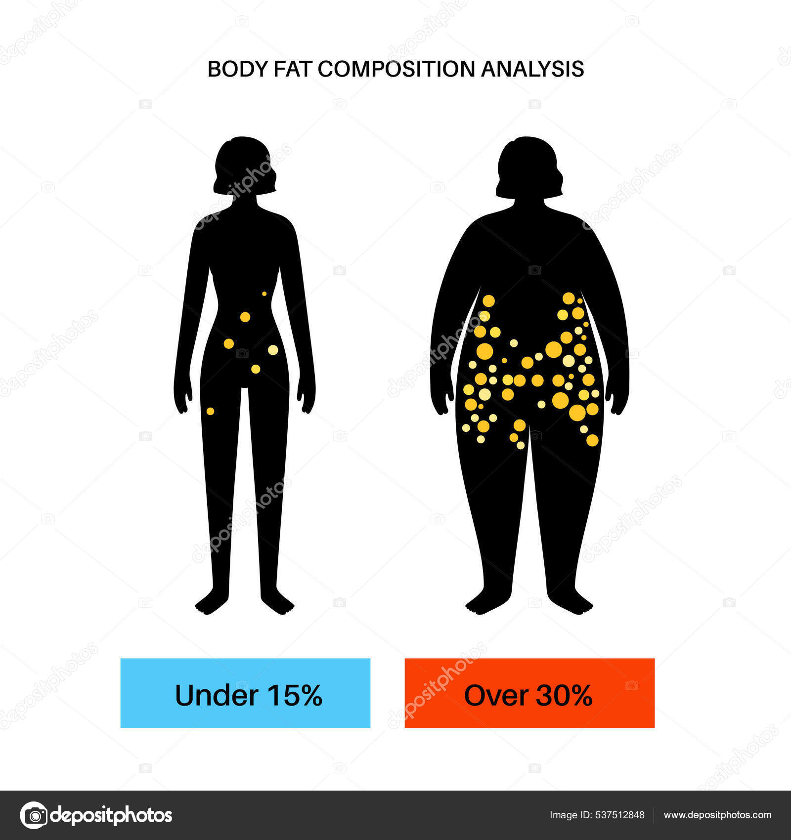 Composición Corporal Bajar Nivel De Grasa Corporal Composición