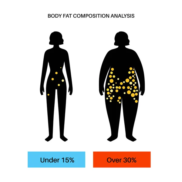 Body fat composition — Stock vektor