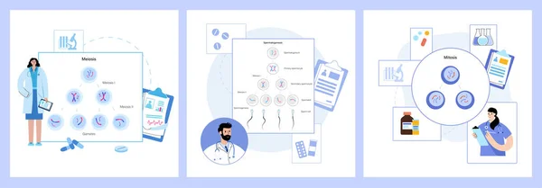 Concept de processus de mitose — Image vectorielle