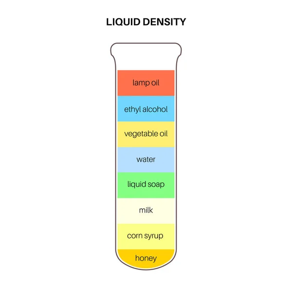 液体密度科学实验的概念 具有独立流体的玻璃或管子 用五彩缤纷的材料排成一列 视觉重量分析 科学或教育用孤立的平面矢量图解 — 图库矢量图片