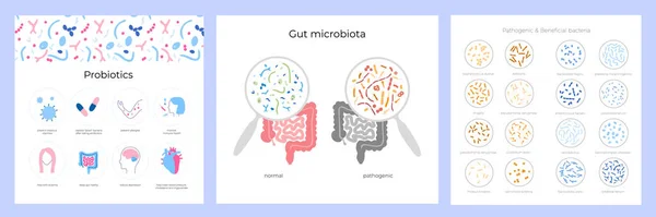 Концепція набору пробіотиків — стоковий вектор