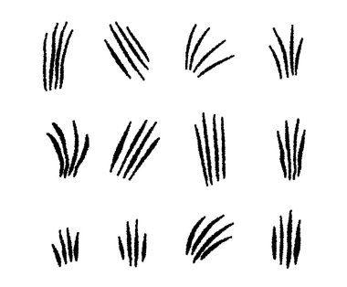 Hayvan tırmalama seti