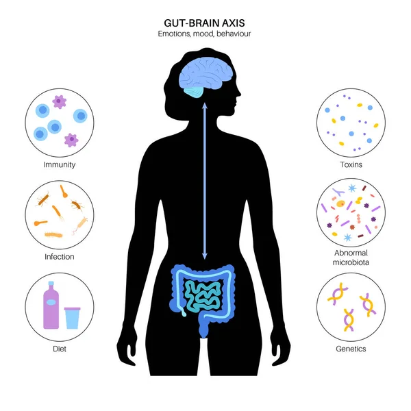 Conexión cerebral intestinal — Archivo Imágenes Vectoriales