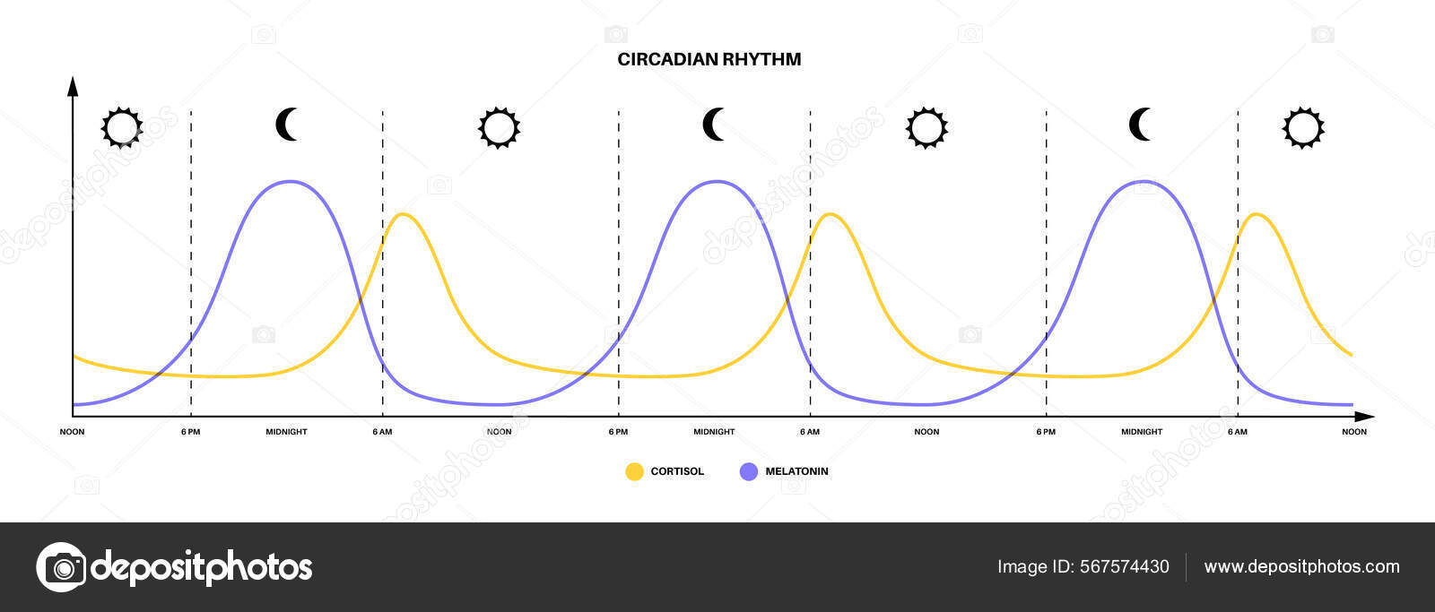 Sleep wake cycle Stock Vector Image by ©Pikovit #567574430
