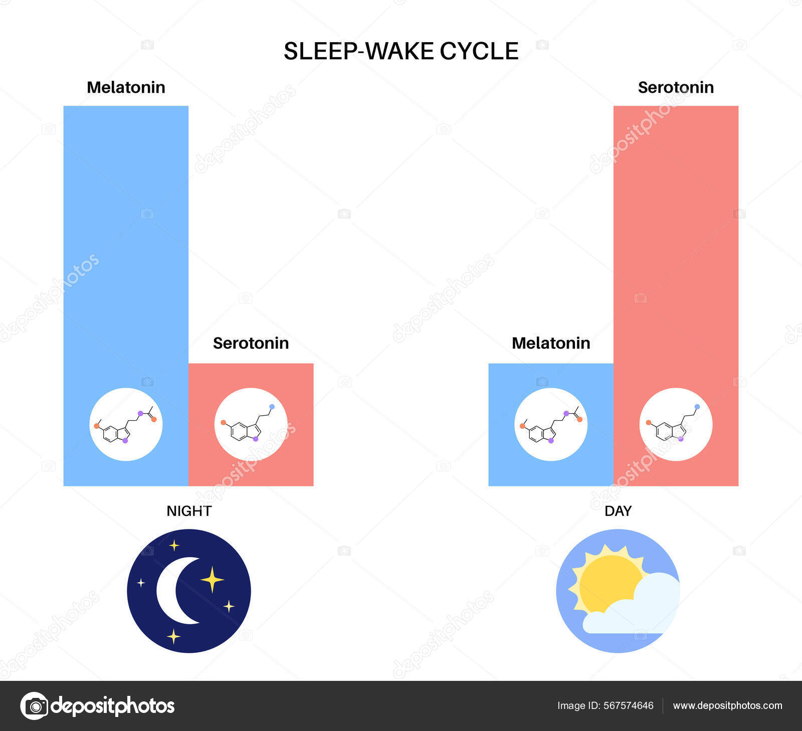 Sleep wake cycle Stock Vector by ©Pikovit 567574646