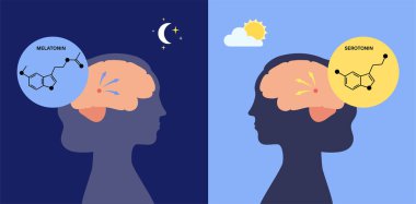 uyku uyku modundan çıkarma döngüsü