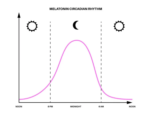 Cyklus spánku probudit — Stockový vektor